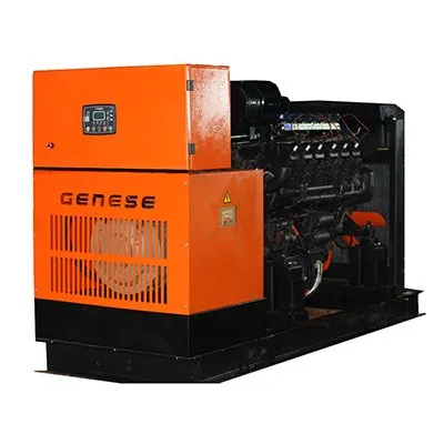 Газовый генератор GENESE GE240